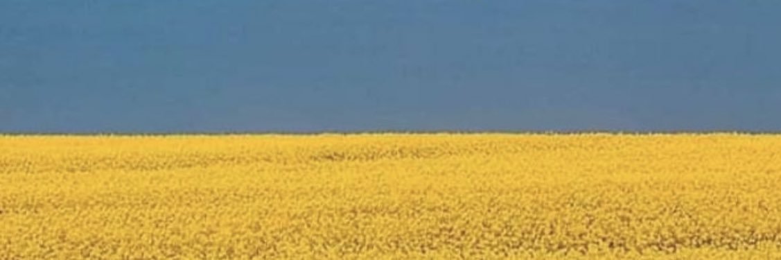 CostaDelMersey's profile banner image