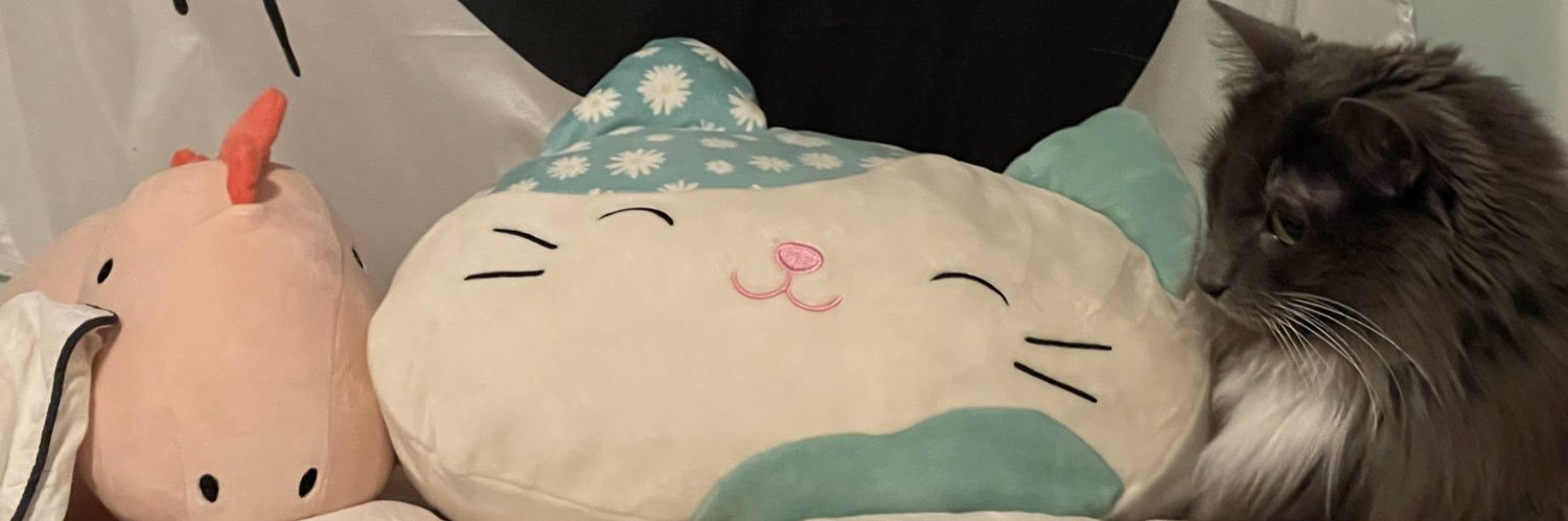 _tittytay's profile banner image