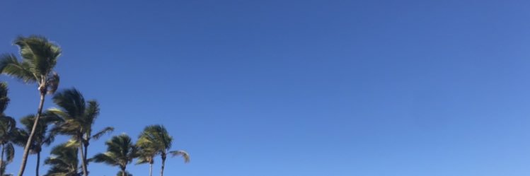 brendabsbr's profile banner image