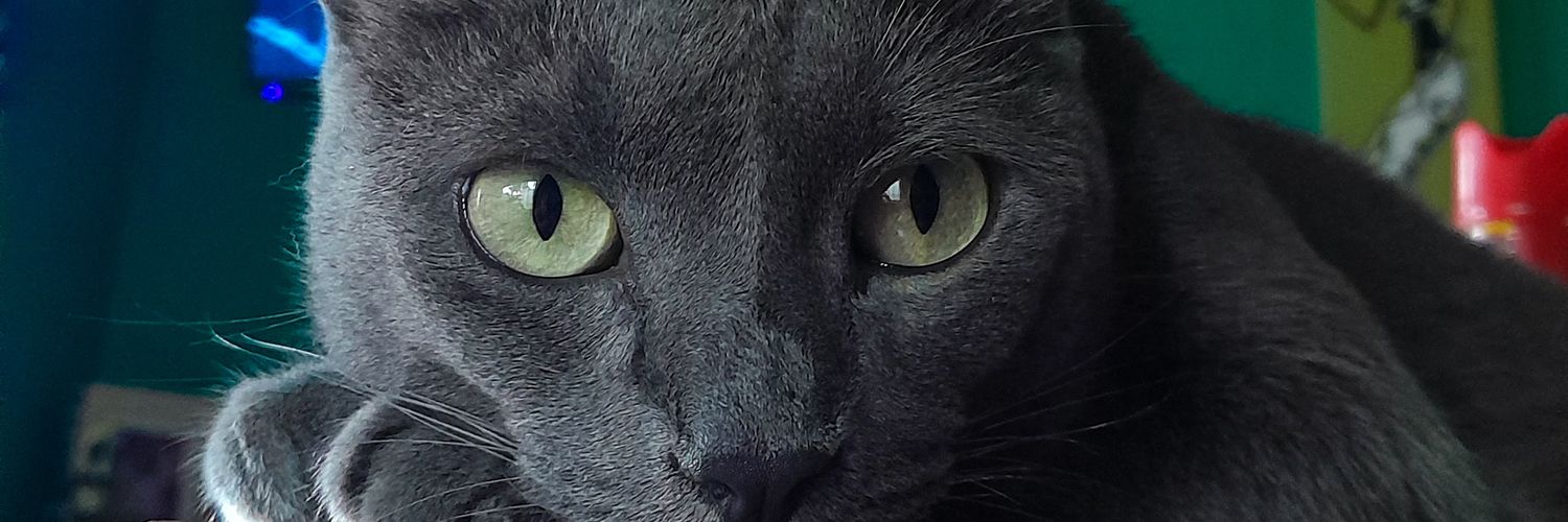 GomJenni's profile banner image