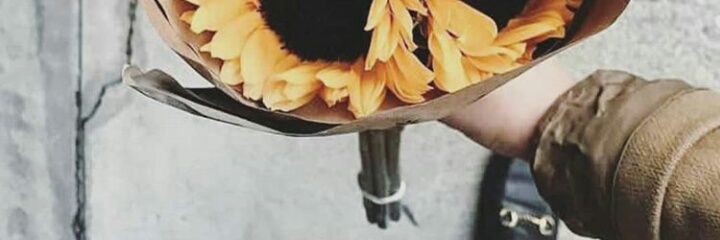 putri_rahmi3's profile banner image