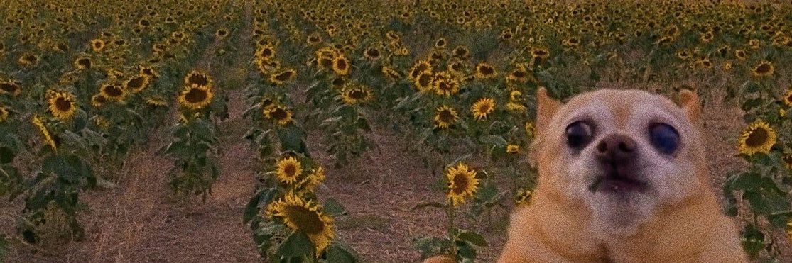 blhickerson's profile banner image