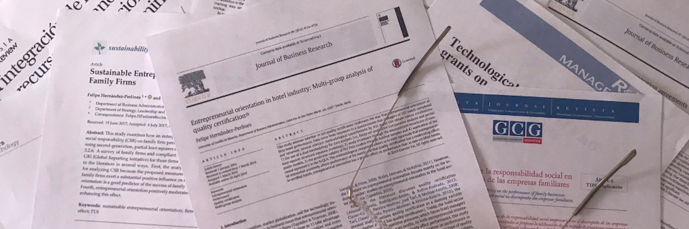 Felipe Hdez Perlines. banner