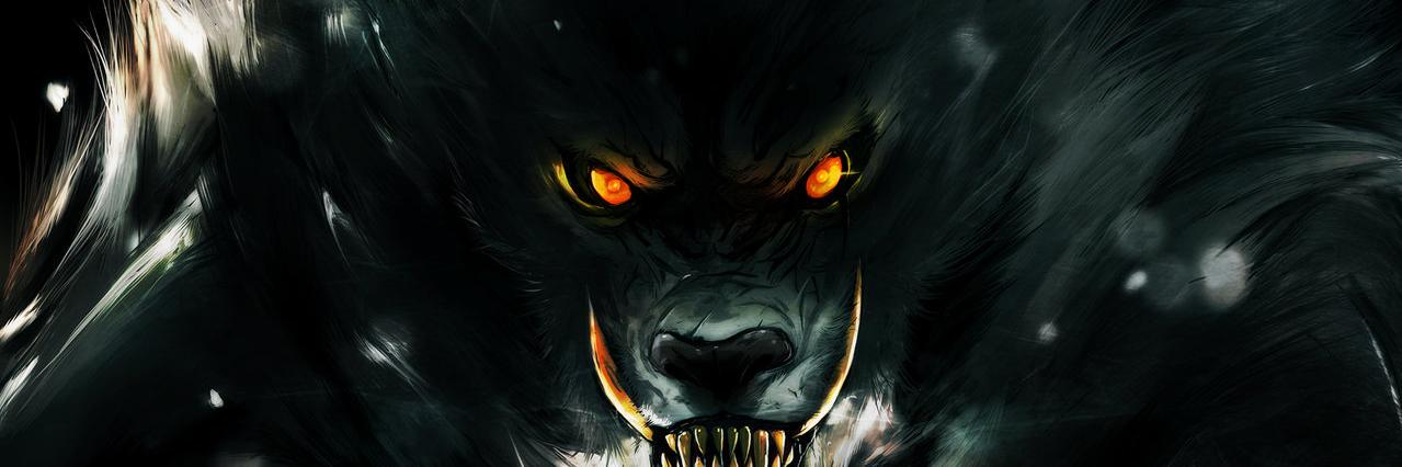 _Herr_Wolf's profile banner image