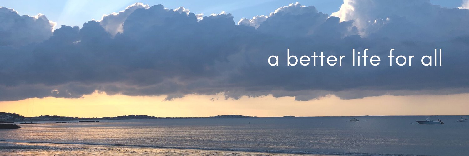 Hull Democrats banner