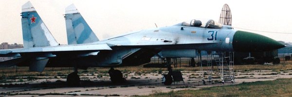 tsagi_tominaga Profile Banner