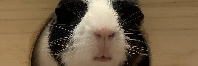 hgmel_'s profile banner image