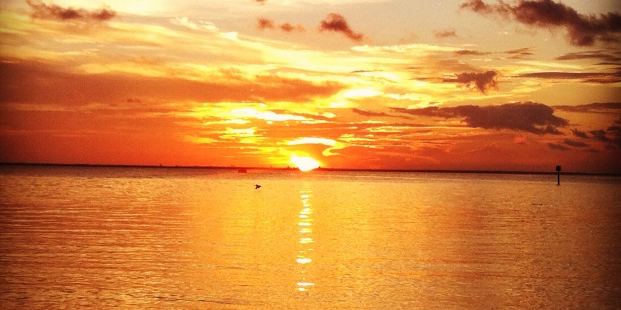 c_hoff7's profile banner image