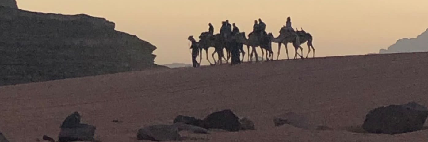 FadwaBaroud's profile banner image