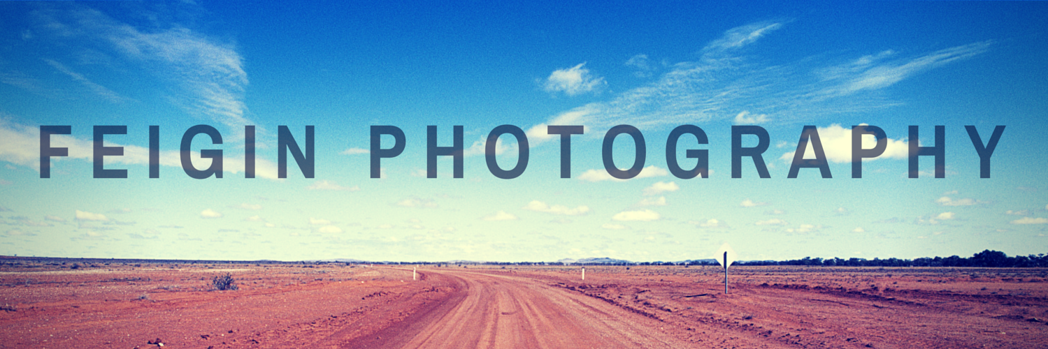 FeiginPhoto's profile banner image