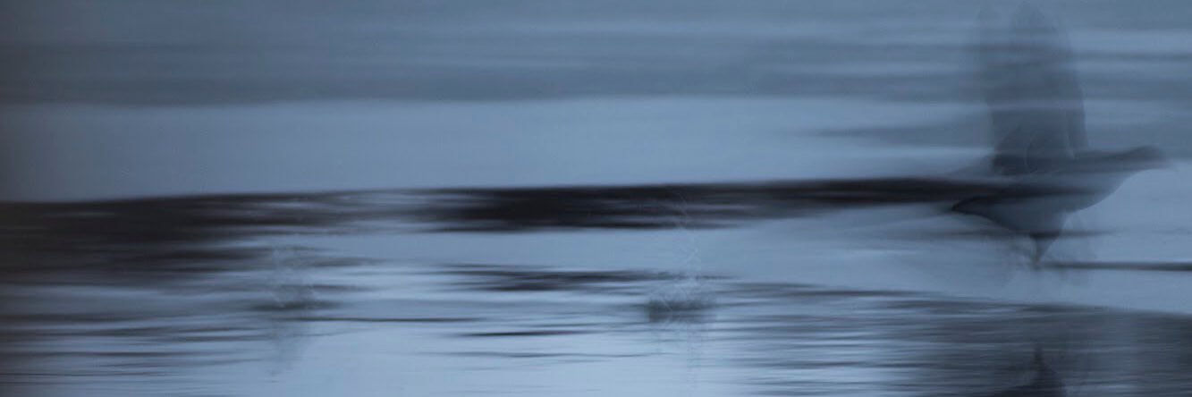 MiaAurell's profile banner image