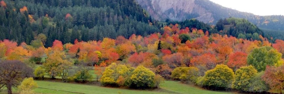 PosofKaymakamlk's profile banner image