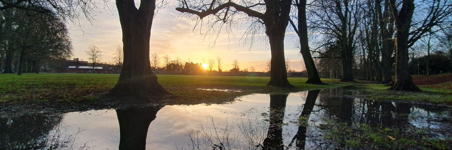 Liam D Powell banner