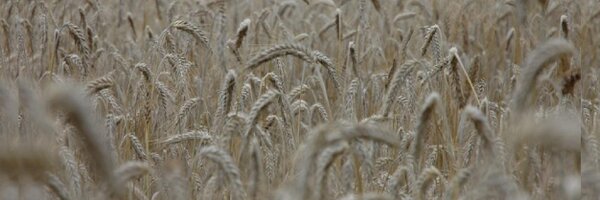 geekONka Profile Banner