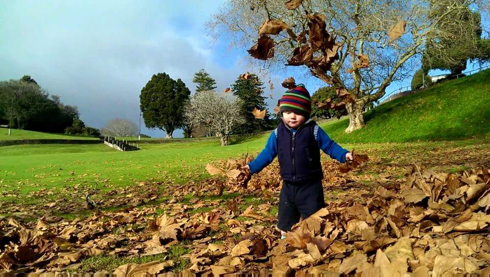 Peter O'Carroll banner