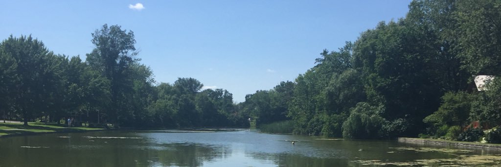 Amelltastic's profile banner image