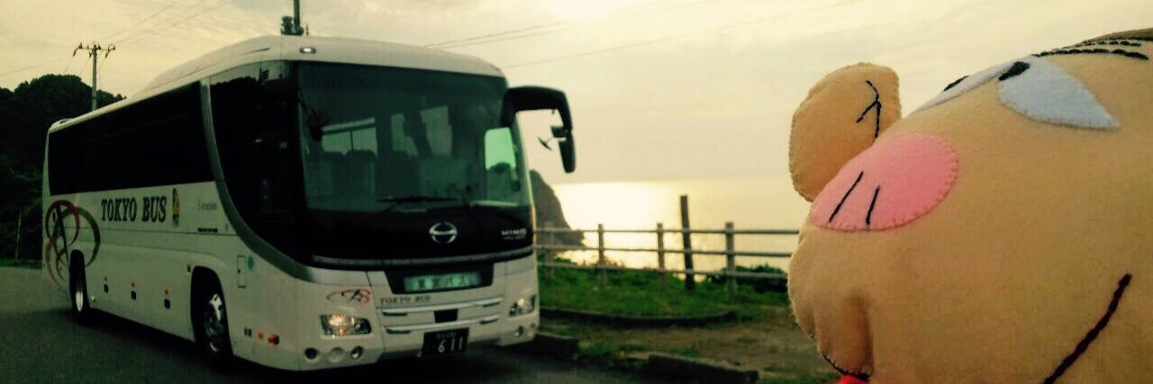 busgori's profile banner image