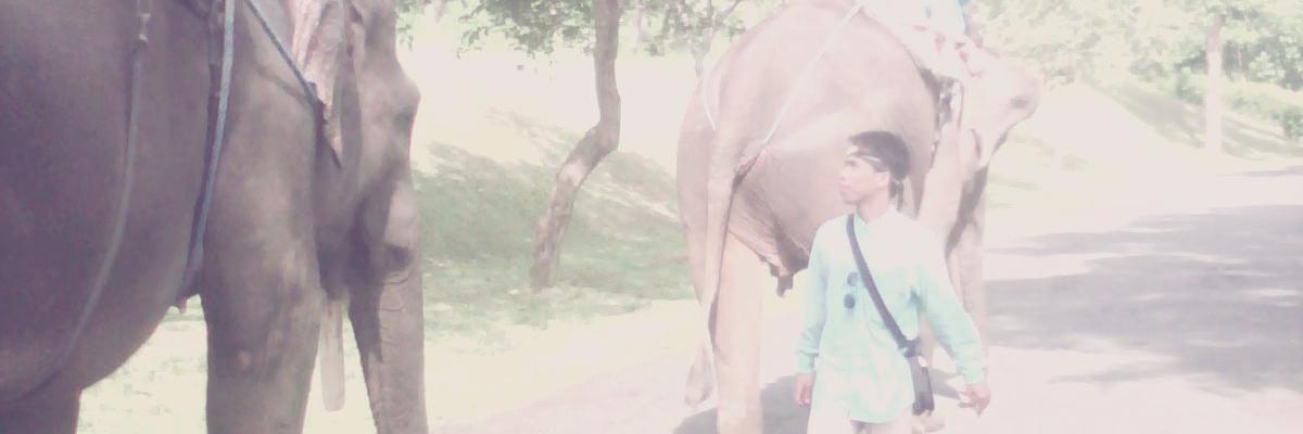 budlingaw's profile banner image
