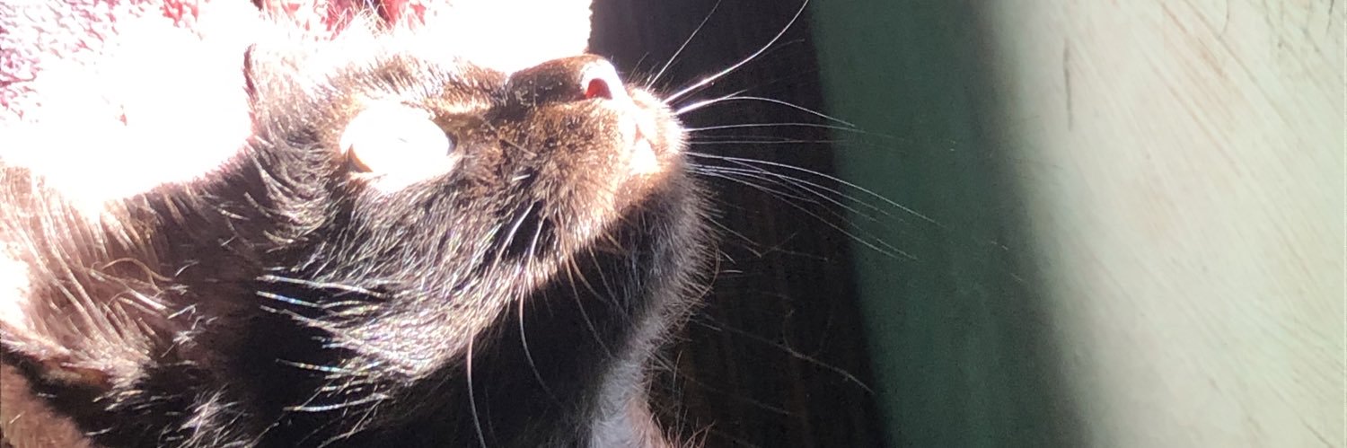 syntianw's profile banner image