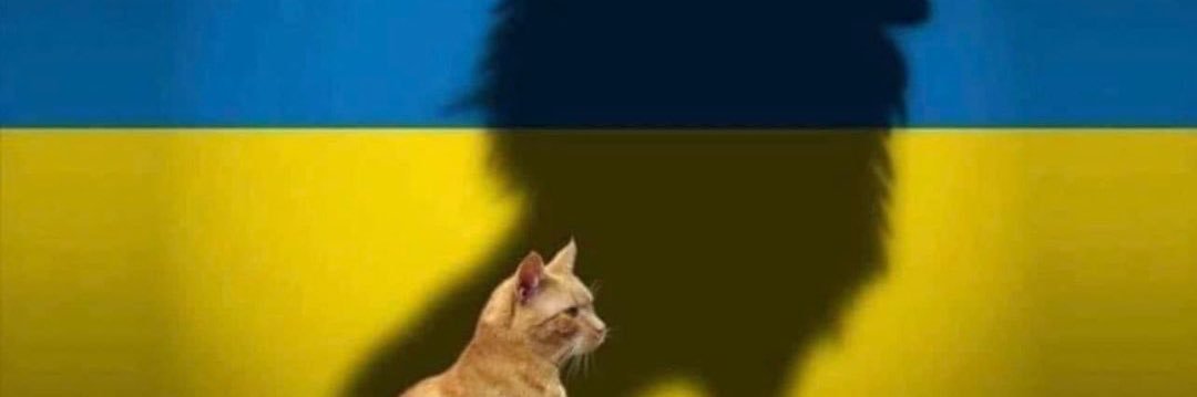 BarrieT's profile banner image