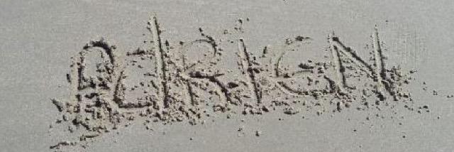 Rosaldo🇵🇹 banner