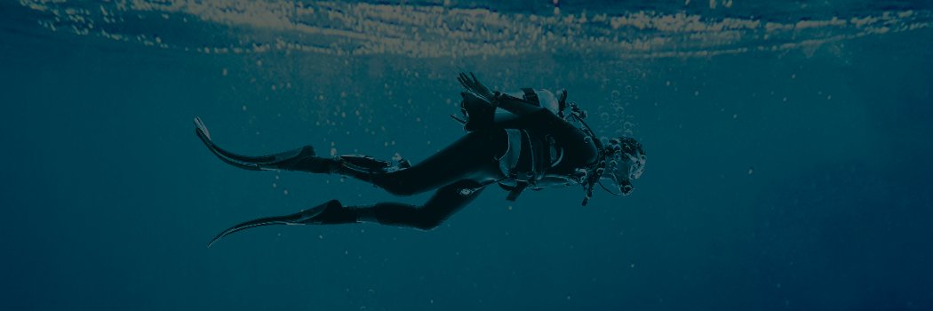 BateelDiver's profile banner image