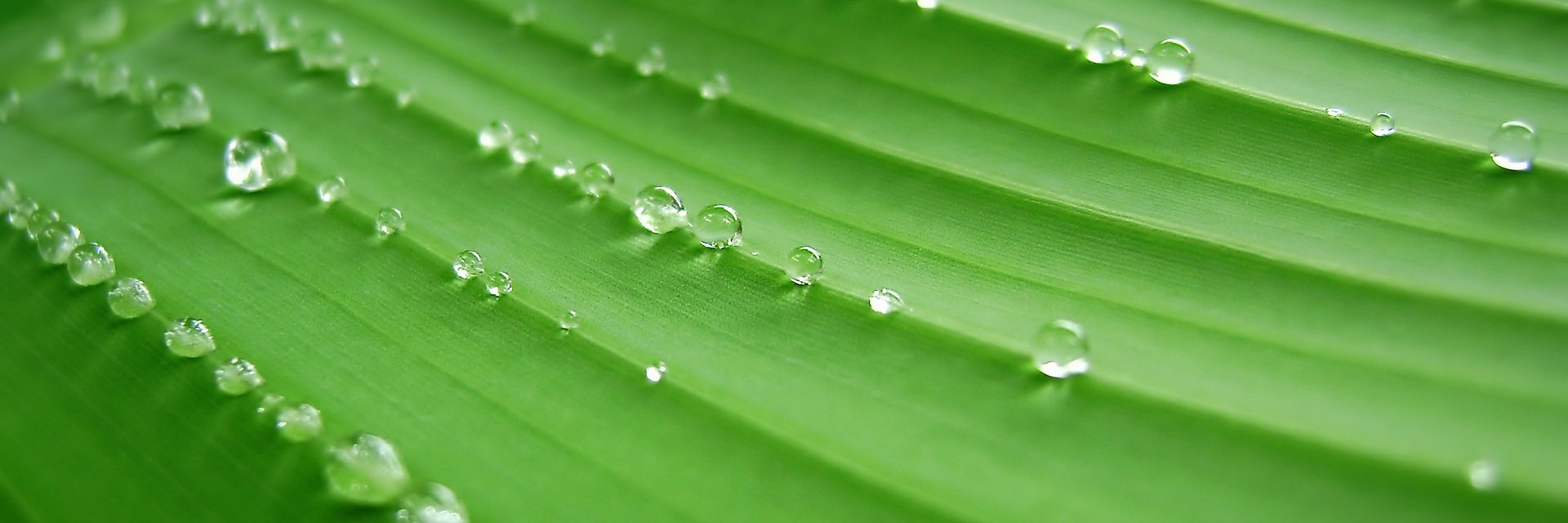 osoteitum's profile banner image