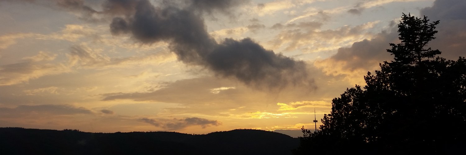 A_Gerlach's profile banner image