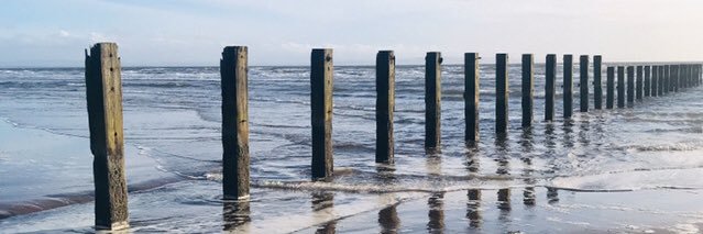 joyceboyd1's profile banner image