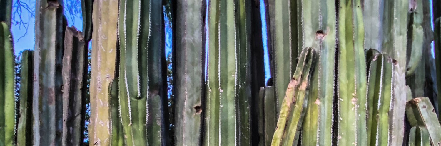 daveminguez's profile banner image