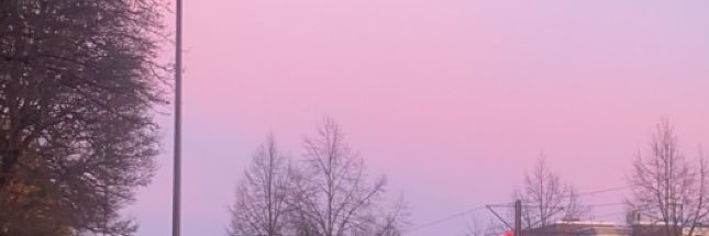 natuschka's profile banner image