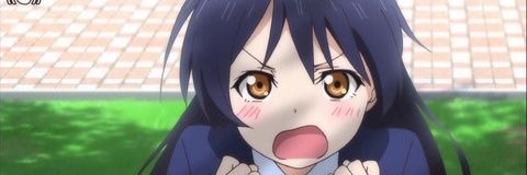 umerinTCR10's profile banner image