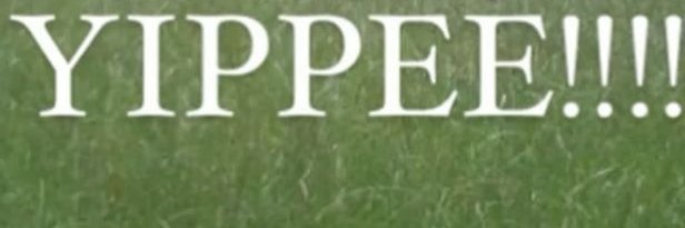 mirageetoile's profile banner image
