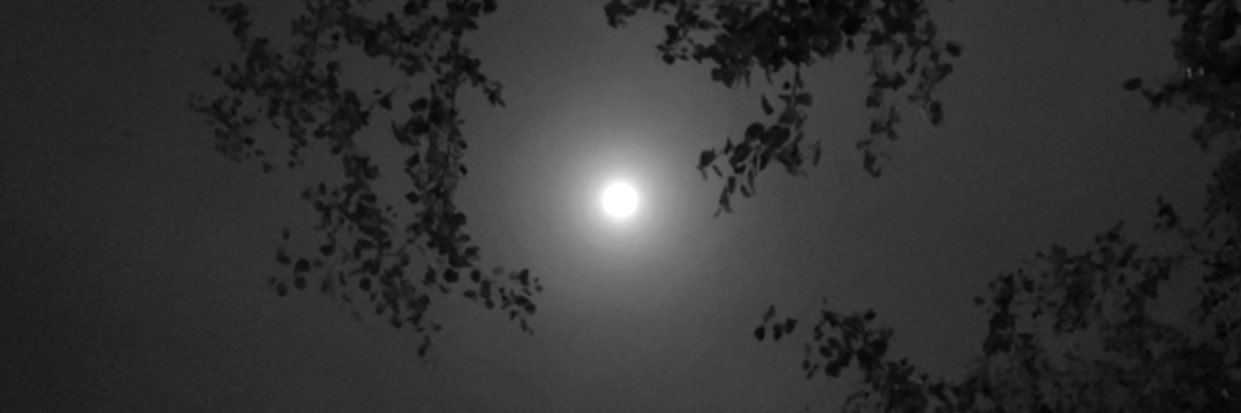 I_JoseA's profile banner image