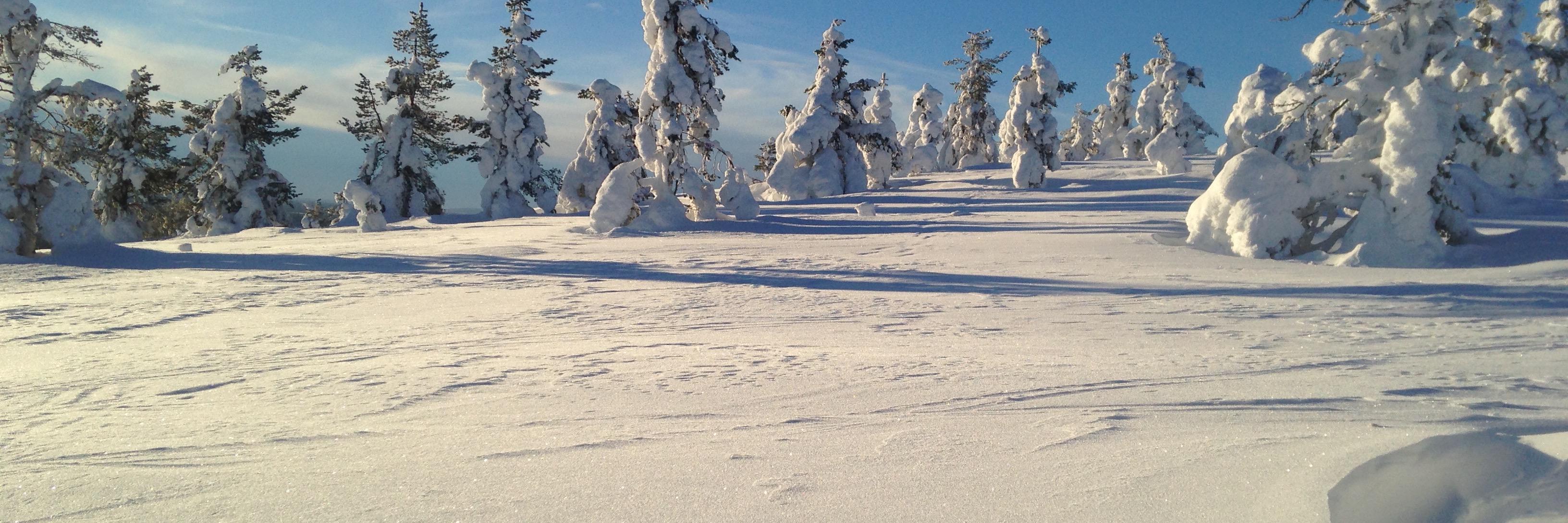 Tuomas Iivanainen banner