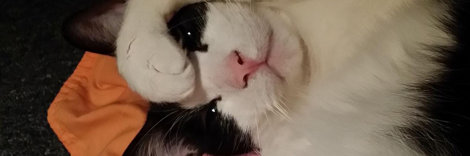 KimberlyF0019's profile banner image