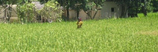 mathildebouye Profile Banner