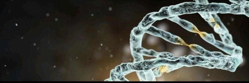 Juliana Miranda Cerqueira banner