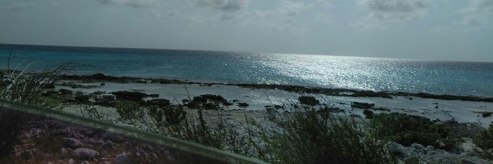 Carlos A. Jiménez R. banner