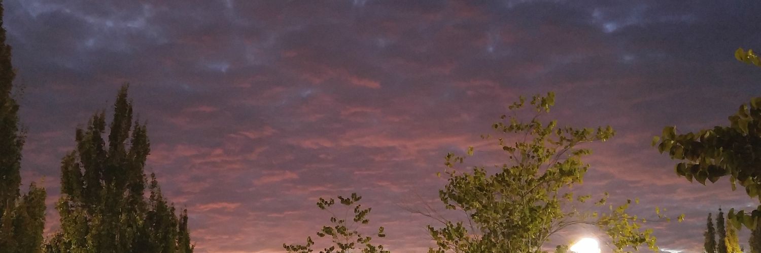 duhrobyn's profile banner image