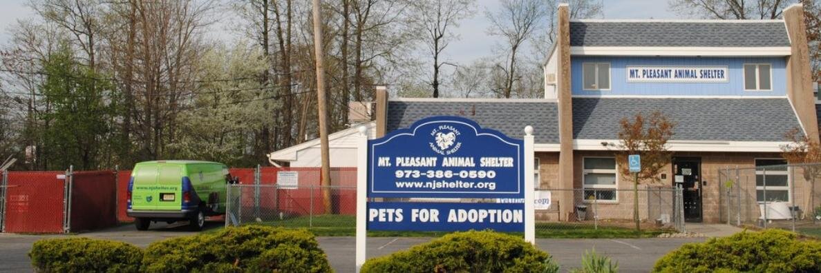 mpasanimals's profile banner image