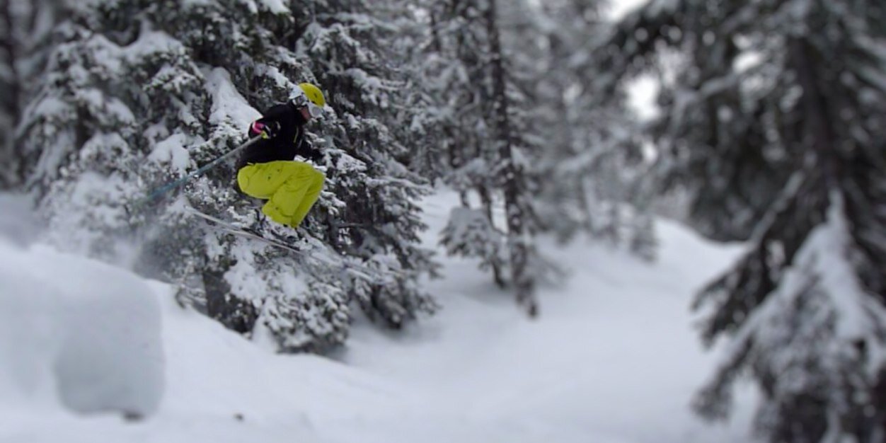 Ed Moser banner