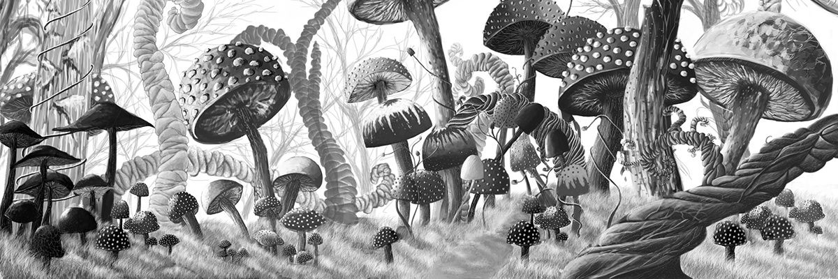 DrMerkin's profile banner image