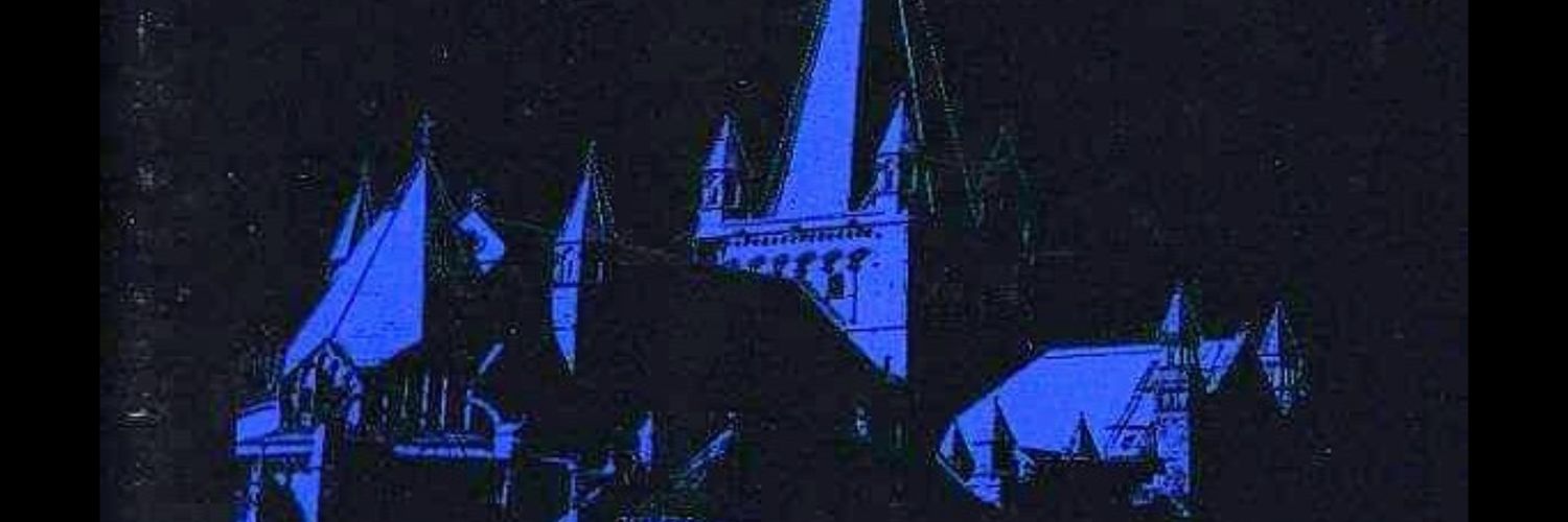 pxrxcelsus's profile banner image