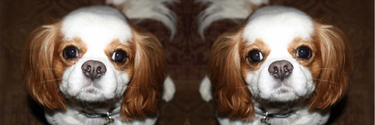 katelep25's profile banner image