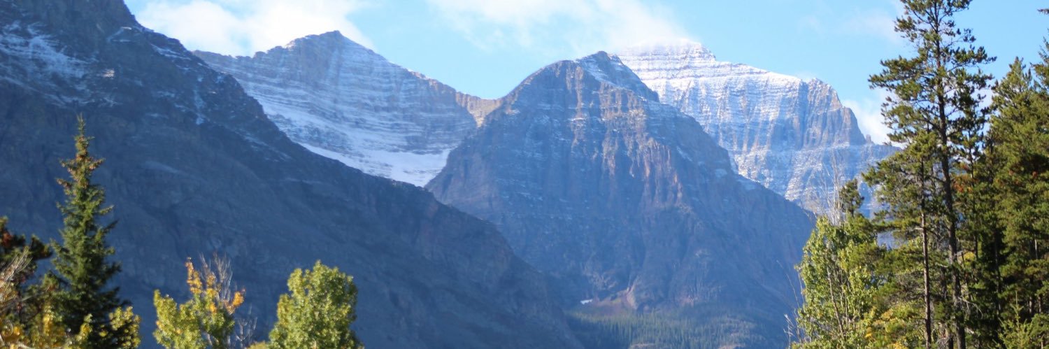 jessihedges's profile banner image