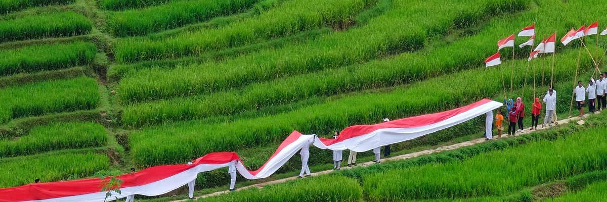 Pak_Jokowi's profile banner image