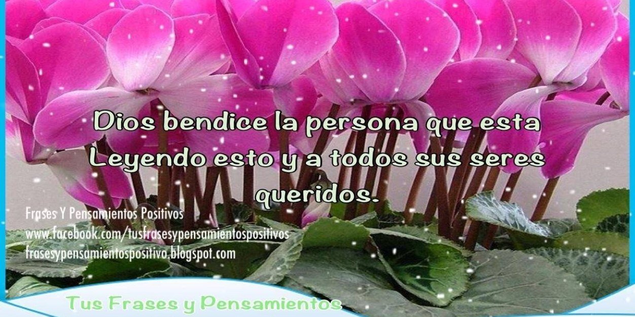 frasesy's profile banner image