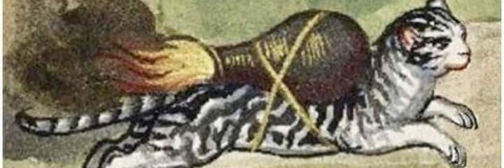 scribbler81's profile banner image