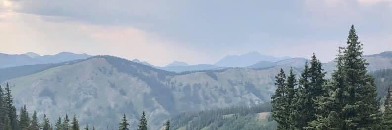 parsonjay's profile banner image